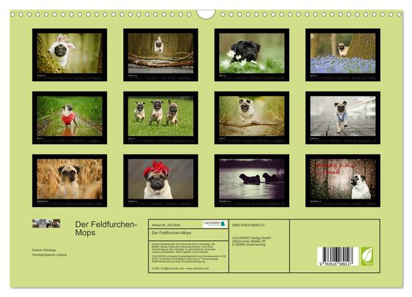Produktbild: Der Feldfurchen-Mops (Wandkalender 2026 DIN A3 quer), CALVENDO Monatskalender