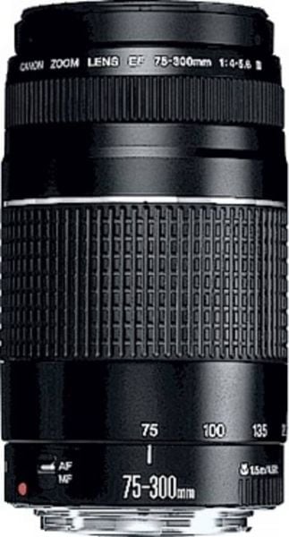 Produktbild: Canon EF DC 4,0-5,6/75-300 III 6473A015 Zoom-Objektiv