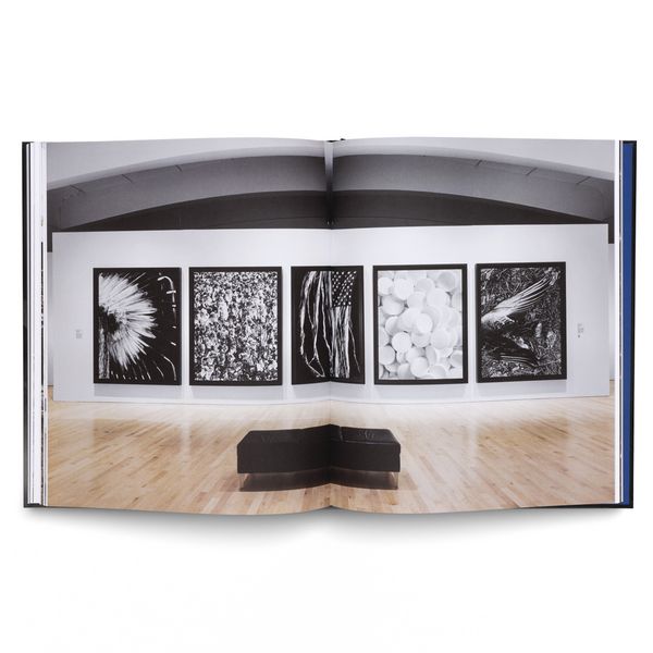Produktbild: Robert Longo: The Acceleration of History