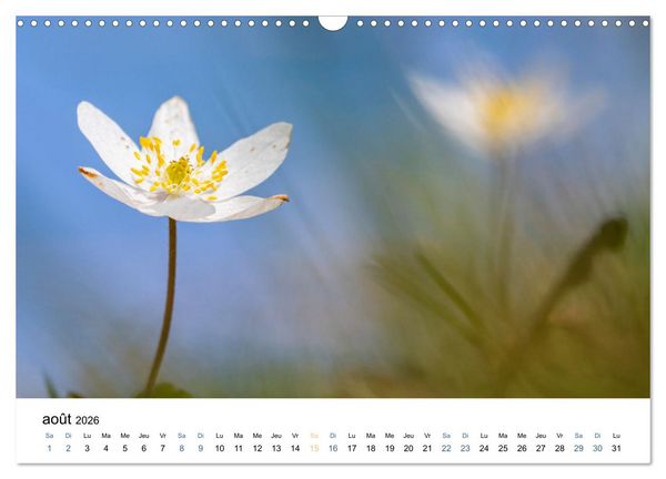Produktbild: Fleurs po&eacute;tiques (Calendrier mural 2026 DIN A3 vertical), CALVENDO calendrier mensuel