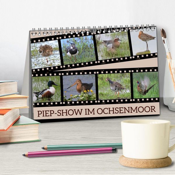 Produktbild: PIEP-SHOW im Ochsenmoor (Tischkalender 2026 DIN A5 quer), CALVENDO Monatskalender