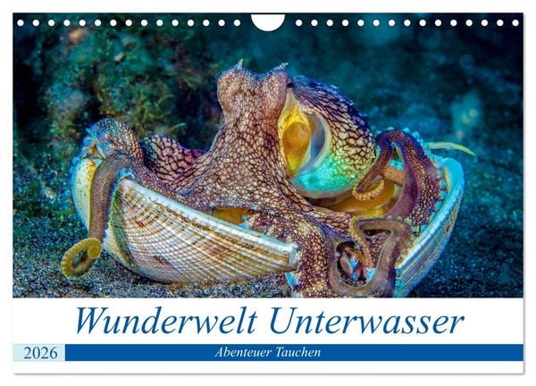 Produktbild: Wunderwelt Unterwasser (Wandkalender 2026 DIN A4 quer), CALVENDO Monatskalender