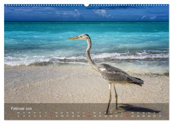 Produktbild: Malediven Impressionen aus dem Paradies (Wandkalender 2026 DIN A2 quer), CALVENDO Monatskalender