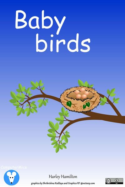 Produktbild: Baby Birds