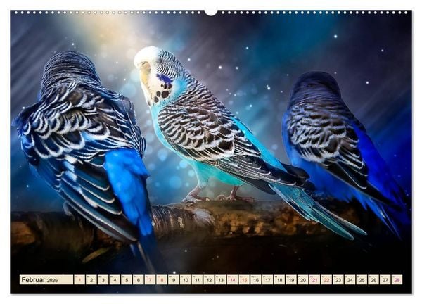 Produktbild: Wundersch&ouml;ner Wellensittich (hochwertiger Premium Wandkalender 2026 DIN A2 quer), Kunstdruck in Hochglanz