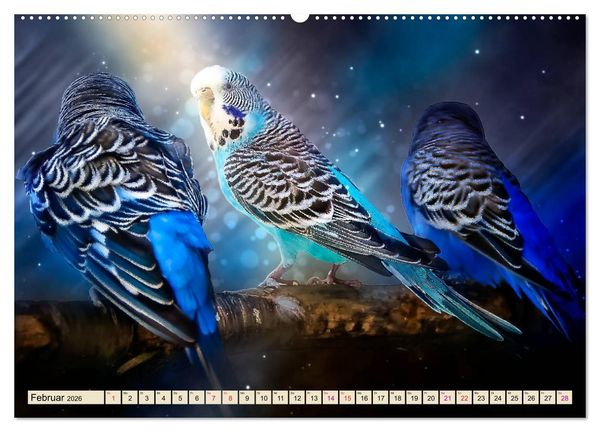 Produktbild: Wundersch&ouml;ner Wellensittich (Wandkalender 2026 DIN A2 quer), CALVENDO Monatskalender