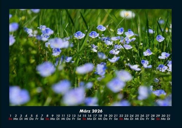 Produktbild: Blumenzauber 2026 Fotokalender DIN A4