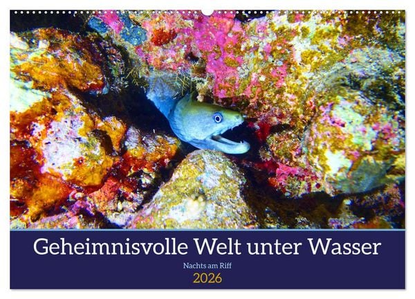 Geheimnisvolle Welt unter Wasser - Nachts am Riff (Wandkalender 2026 DIN A2 quer), CALVENDO Monatskalender