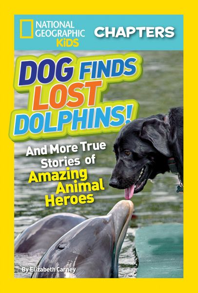 Produktbild: National Geographic Kids Chapters: Dog Finds Lost Dolphins!