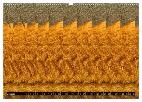 Produktbild: Magische Bilder - 3D Stereogramme (Wandkalender 2026 DIN A2 quer), CALVENDO Monatskalender