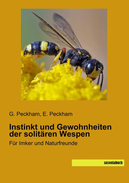 Produktbild: Instinkt und Gewohnheiten der solit&auml;ren Wespen