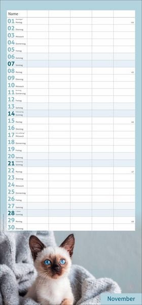 Produktbild: times&more Katzen Familienplaner 2027