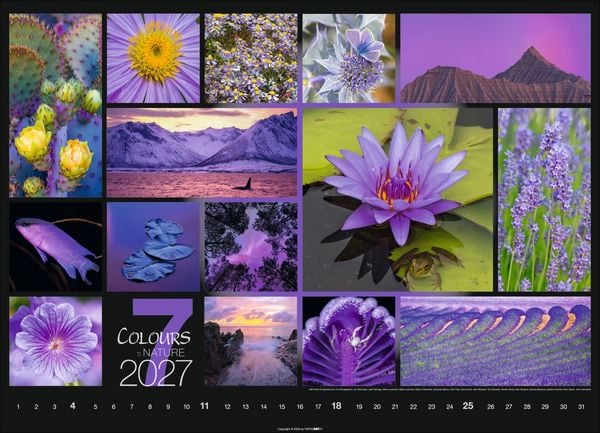 Produktbild: Colours of Nature Kalender 2027
