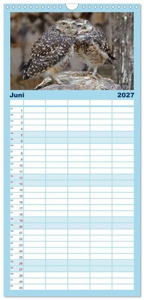 Produktbild: Familienplaner 2027 - Greifv&ouml;gel, Eulen und K&auml;uze mit 5 Spalten (Wandkalender, 21 x 45 cm) CALVENDO