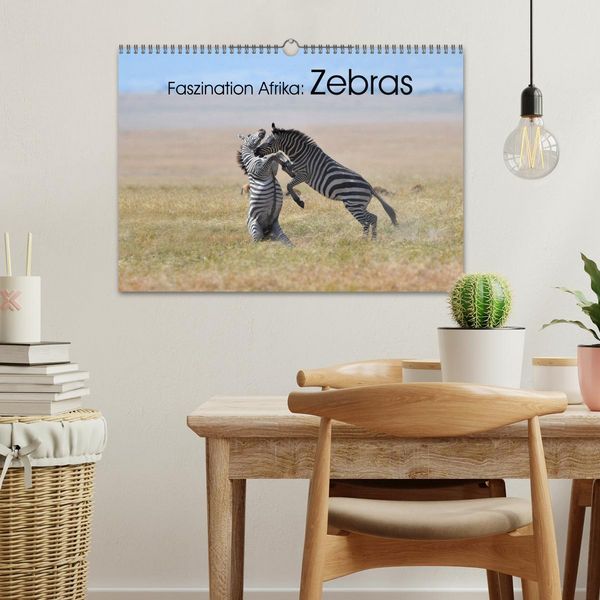Produktbild: Faszination Afrika: Zebras (Wandkalender 2026 DIN A3 quer), CALVENDO Monatskalender