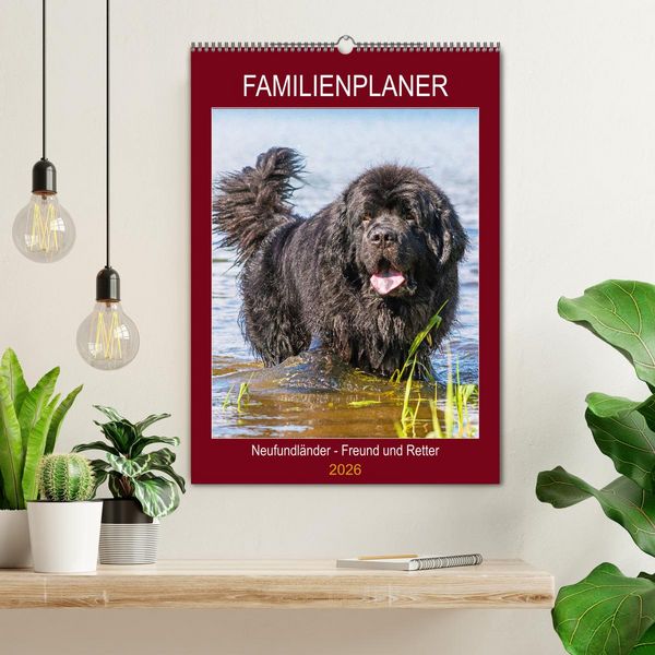 Produktbild: Familienplaner Neufundl&auml;nder - Freund und Retter (Wandkalender 2026 DIN A2 hoch), CALVENDO Monatskalender