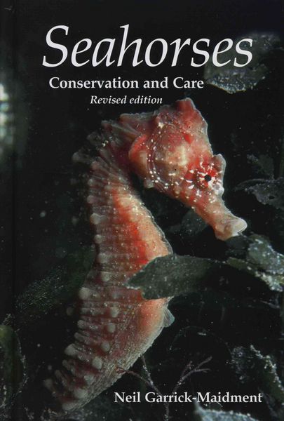 Produktbild: Seahorses