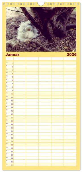 Produktbild: Familienplaner 2026 - H&uuml;hner in meinem Garten mit 5 Spalten (Wandkalender, 21 x 45 cm) CALVENDO