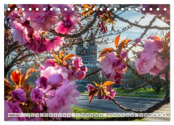 Produktbild: Romantisches Magdeburg (Tischkalender 2027 DIN A5 quer), CALVENDO Monatskalender