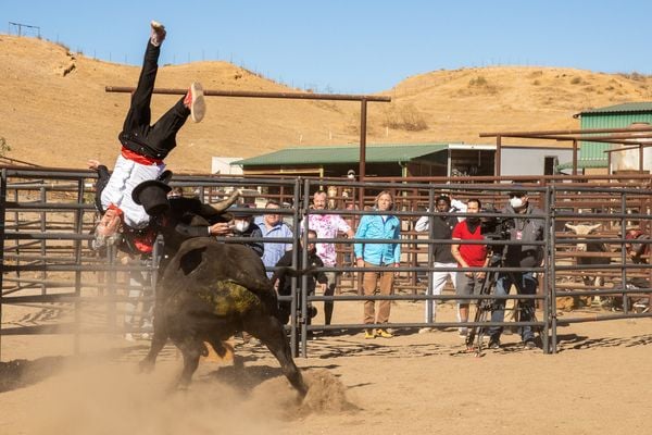 Produktbild: Jackass Forever