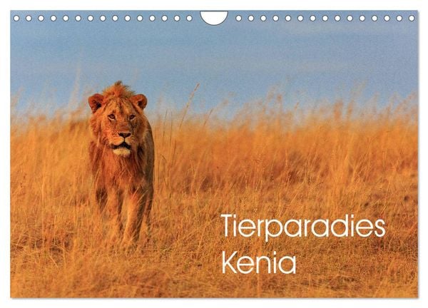 Produktbild: Tierparadies Kenia (Wandkalender 2026 DIN A4 quer), CALVENDO Monatskalender