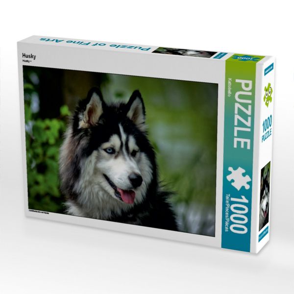 CALVENDO Puzzle Husky | 1000 Teile Lege-Größe 64x48cm Foto-Puzzle für glückliche Stunden
