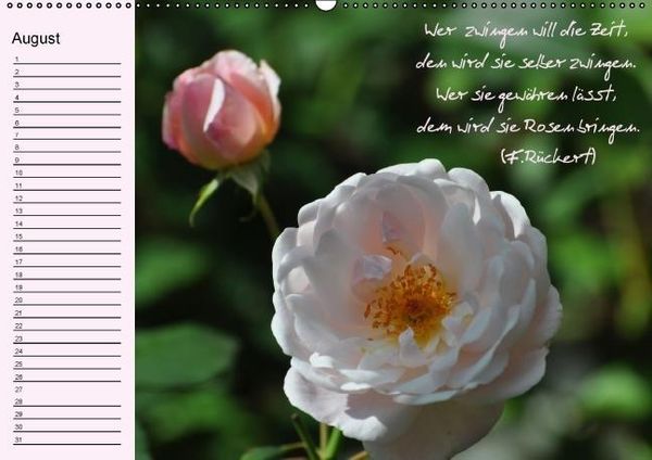 Produktbild: Vergiss mein nicht Geburtstagskalender (Wandkalender immerw&auml;hrend DIN A2 quer)