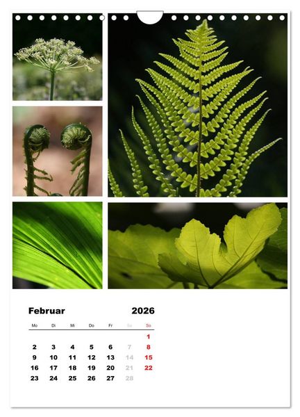 Produktbild: Bl&uuml;ten Collagen (Wandkalender 2026 DIN A4 hoch), CALVENDO Monatskalender