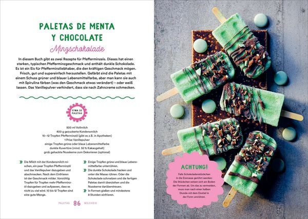 Produktbild: Paletas. Dein bestes Eis am Stiel