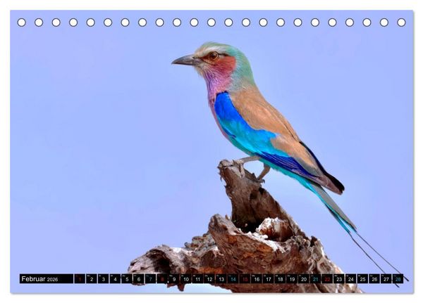 Produktbild: Fantastische V&ouml;gel (Tischkalender 2026 DIN A5 quer), CALVENDO Monatskalender