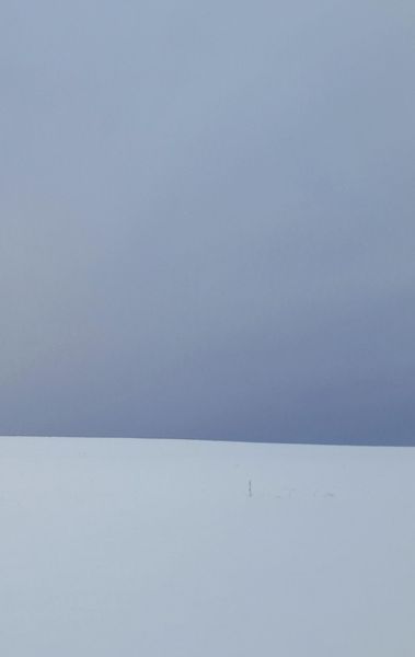 This Might Be Madness, Taschenbuch von C. S. Werner, Bookmundo Osiander, 9789463423649