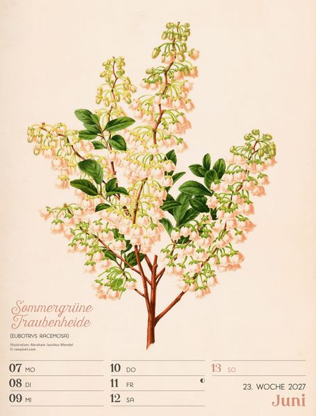 Produktbild: Ars Floralis Wochenplaner Kalender 2027