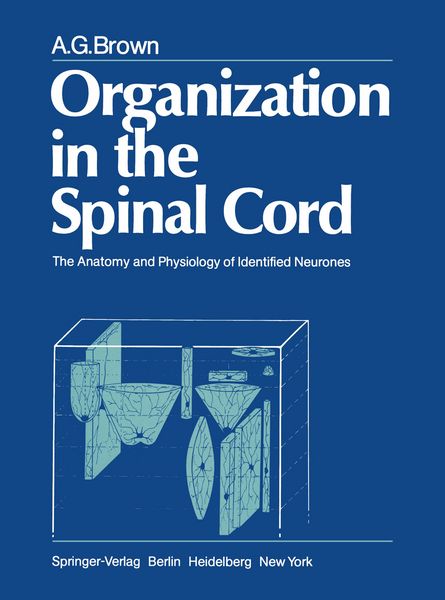 Produktbild: Organization in the Spinal Cord