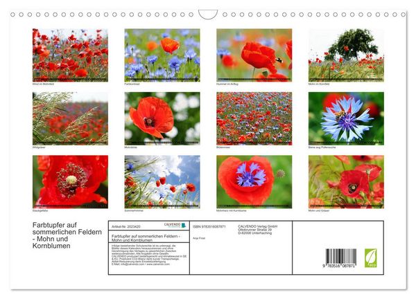 Produktbild: Farbtupfer auf sommerlichen Feldern - Mohn und Kornblumen (Wandkalender 2026 DIN A3 quer), CALVENDO Monatskalender