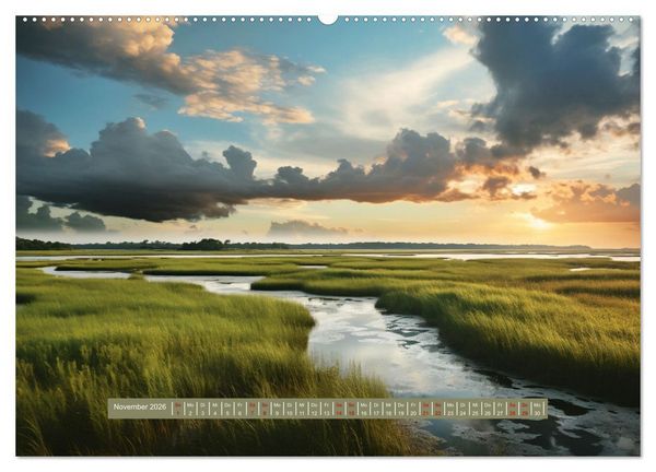 Produktbild: Biotop zwischen Land und Meer (hochwertiger Premium Wandkalender 2026 DIN A2 quer), Kunstdruck in Hochglanz