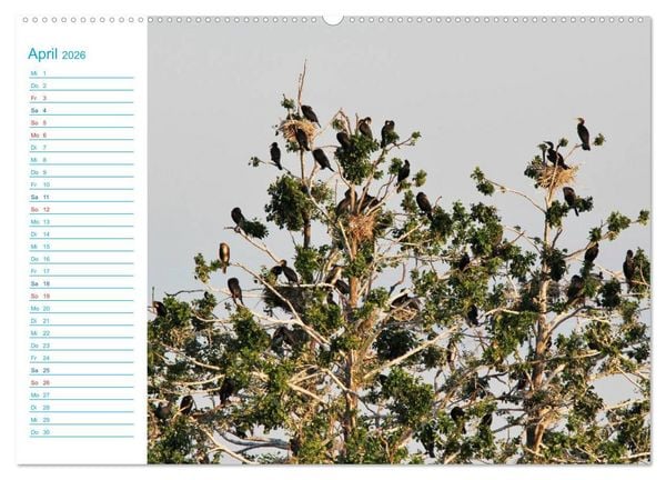 Produktbild: Urlaubsparadies Scharm&uuml;tzelsee (Wandkalender 2026 DIN A2 quer), CALVENDO Monatskalender