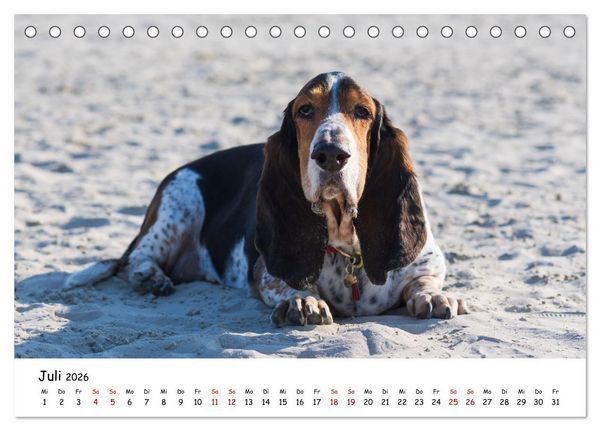Produktbild: Strandurlaub mit Hund (Tischkalender 2026 DIN A5 quer), CALVENDO Monatskalender