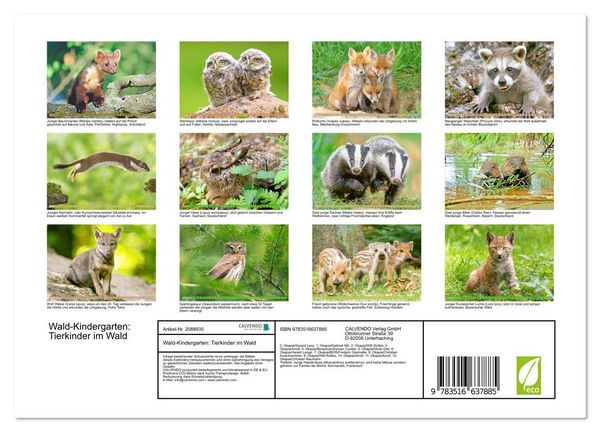 Produktbild: Wald-Kindergarten: Tierkinder im Wald (Wandkalender 2026 DIN A4 quer), CALVENDO Monatskalender
