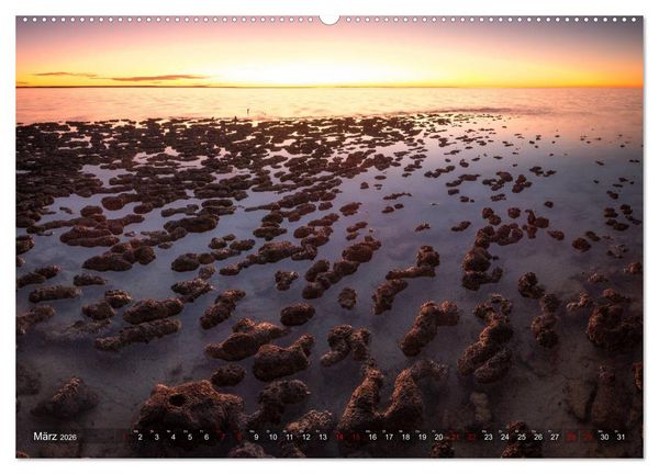 Produktbild: Das wilde Australien (hochwertiger Premium Wandkalender 2026 DIN A2 quer), Kunstdruck in Hochglanz