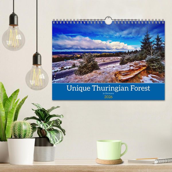 Produktbild: Unique Thuringian Forest (Wall Calendar 2026 DIN A4 landscape), CALVENDO 12 Month Wall Calendar