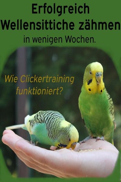 Produktbild: Erfolgreich Wellensittiche z&auml;hmen in wenigen Wochen. Wie funktioniert Clickertraining mit Wellensittichen?