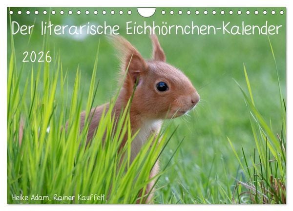 Produktbild: Der literarische Eichh&ouml;rnchen-Kalender (Wandkalender 2026 DIN A4 quer), CALVENDO Monatskalender