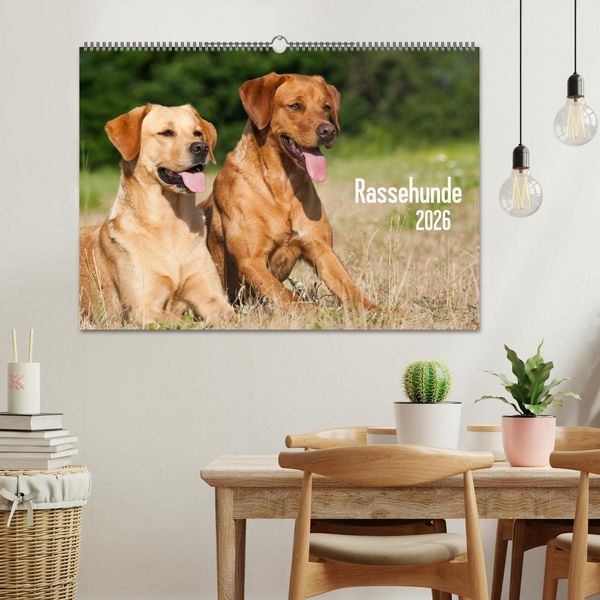 Produktbild: Rassehunde (Wandkalender 2026 DIN A2 quer), CALVENDO Monatskalender