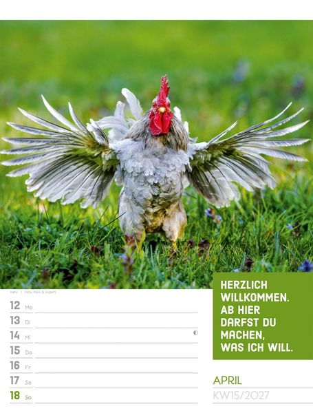 Produktbild: Tierisch Spr&uuml;chekalender Wochenplaner 2027