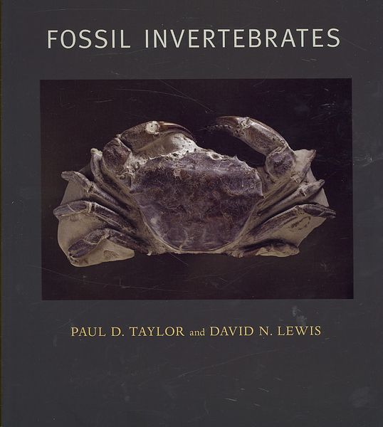 Produktbild: Fossil Invertebrates