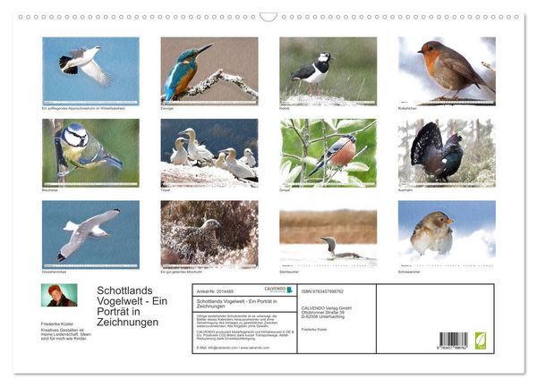 Produktbild: Schottlands Vogelwelt - Ein Portr&auml;t in Zeichnungen (Wandkalender 2026 DIN A2 quer), CALVENDO Monatskalender