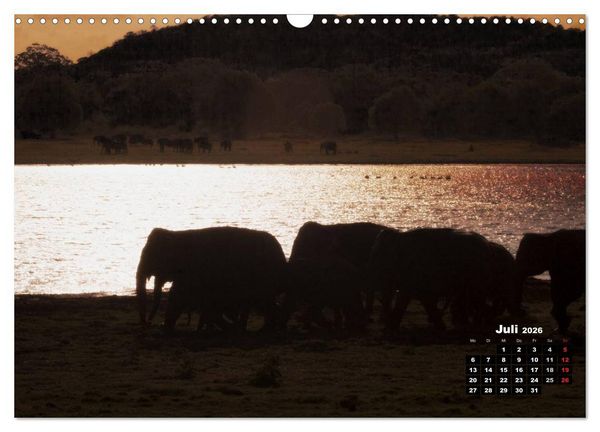 Produktbild: Bedrohte Riesen - Elefanten in Sri Lanka (Wandkalender 2026 DIN A3 quer), CALVENDO Monatskalender