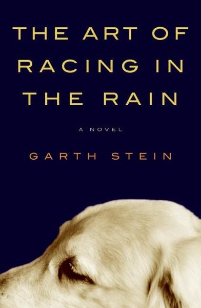 Produktbild: The Art of Racing in the Rain
