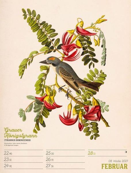 Produktbild: Wunderbare Vogelwelt Wochenplaner Kalender 2027