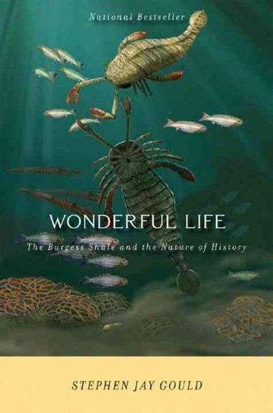 Produktbild: Wonderful Life